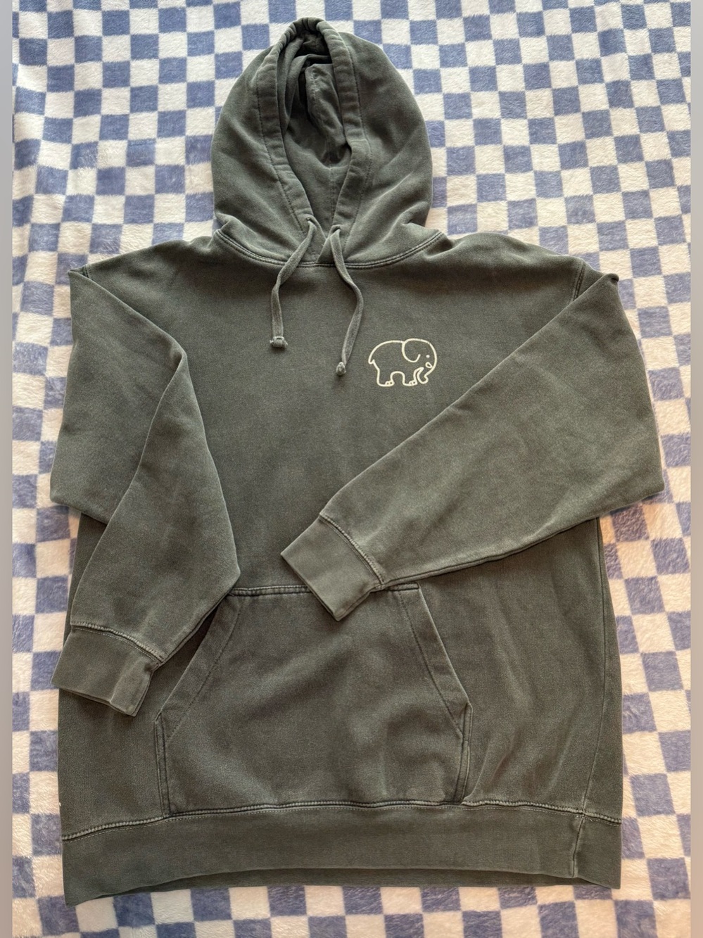 Ivory Ella Comfort Colors Dark Grey Women’s Hoodie